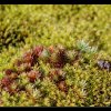 20120624_243
